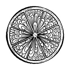 Black and white citrus silce