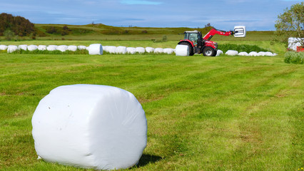 Bale of hay wrapped in plastic foil, Norway