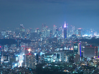 Fototapeta na wymiar 東京夜景//日本