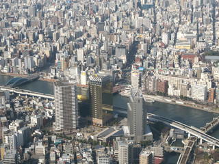 東京展望/スカイツリーより台東区//日本