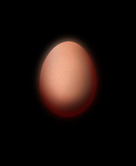 Fresh an brown egg isolated on black background 