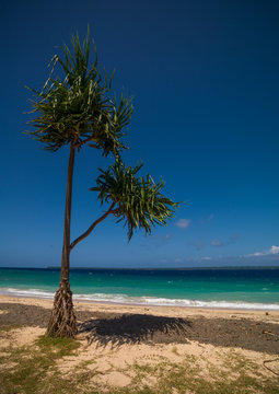 Million dollar point site where american military dumped goods off the beach at the end of World War Two , Espiritu Santo, Luganville, Vanuatu