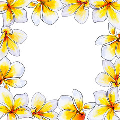 Beautiful white plumeria frame. Frangipani. Watercolor painting. Exotic plant. Floral print. Sketch drawing. Botanical composition. Greeting card. Flower painted background. Hand drawn illustration.