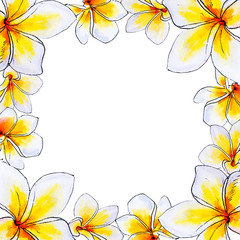 Beautiful white plumeria frame. Frangipani. Watercolor painting. Exotic plant. Floral print. Sketch drawing. Botanical composition. Greeting card. Flower painted background. Hand drawn illustration.