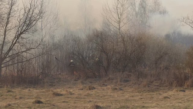 Firefighters extinguish dry grass and burning forest during a fire, spring, fire danger