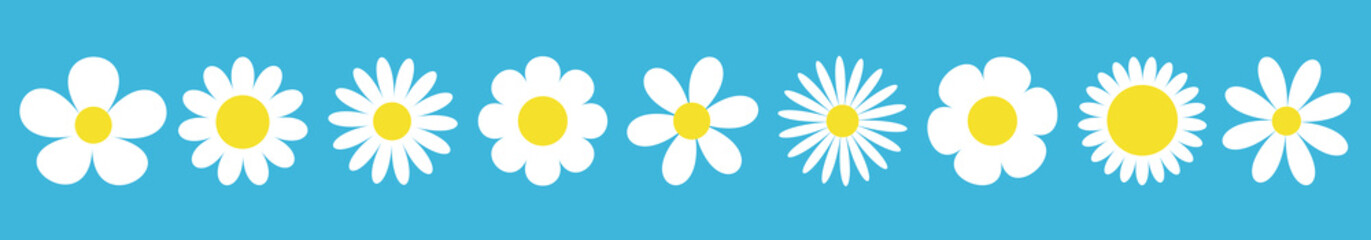 Camomile set line. White daisy chamomile icon. Cute round flower plant collection. Love card symbol. Growing concept. Blue background. Isolated. Flat design.