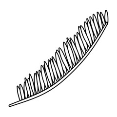 exotic leaf palm tropical icon