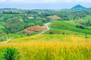 Hilly view with winding road. The location in Khao Kho District, Phetchabun, Thailand, Southeast Asia.