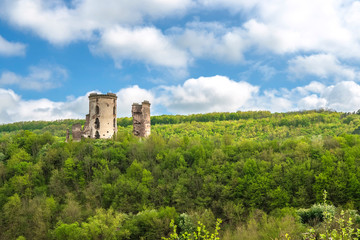 Fototapeta na wymiar Ruined Chervonohrad Castle. Ruins of towers among the mountain forest