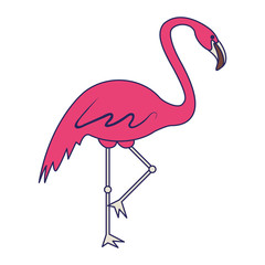 flemish size view icon cartoon