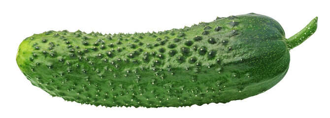 Isolated cucumber. One bended curved cucumber on white background with clipping path.