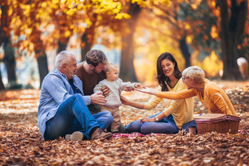 Multl generation family in autumn park having fun