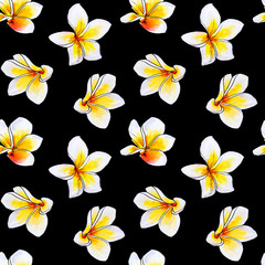 Seamless pattern from white plumeria flowers. Frangipani. Watercolor painting. Exotic plant. Floral print. Sketch drawing. Botanical composition. Flower painted background. Hand drawn illustration.