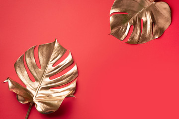 Golden tropical monstera leaf on red background with copy space. Top view. Flat lay. Creative layout. Exotic summer concept in minimal style © jchizhe