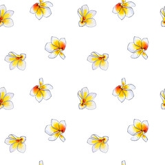 Seamless pattern from white plumeria flowers. Frangipani. Watercolor painting. Exotic plant. Floral print. Sketch drawing. Botanical composition. Flower painted background. Hand drawn illustration.