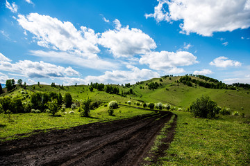 Fototapeta na wymiar Beautiful spring landscape in Altai 