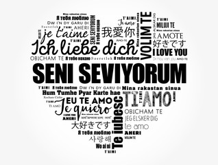 Fototapeta na wymiar Seni seviyorum (I Love You in Turkish) love heart word cloud in different languages of the world