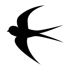 Vector drawing silhouette flying swallow on white background