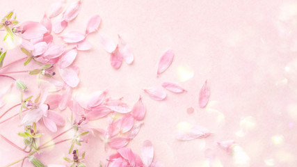 Blossom pink flowers on pink background, spring flowers. Soft light color.  Place for your design. 