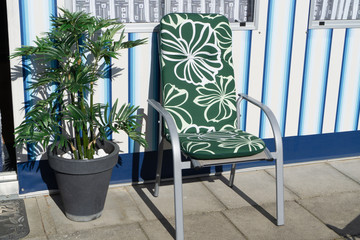 Chair and palm tree in front of the house