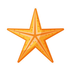 sea starfish icon cartoon isolated