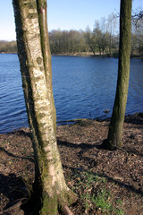 Lake Blijdenstein Ruinerwold Meppel. Engelengaerde