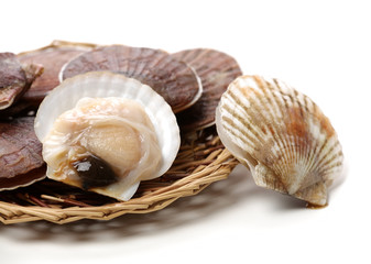 Raw scallop on white background 