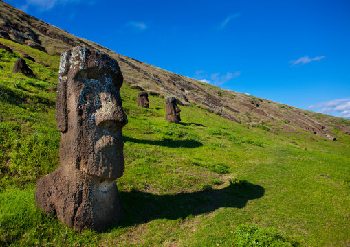 Moais In Rano Raraku, Easter Island, Chile
