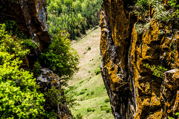  Beautiful Altai mountains in spring