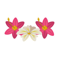 tropical flowers icon cartoon isolated