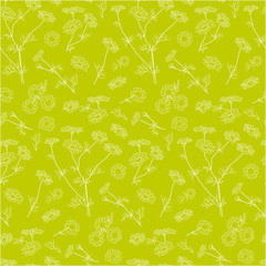 seamless chamomile pattern