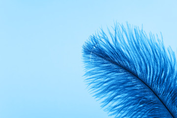 Blue artificial feather close up. Exotic, tropical bird wing feather on blue background. Fashion, ornithology magazine cover concept. Macro accessories, clothes decoration texture
