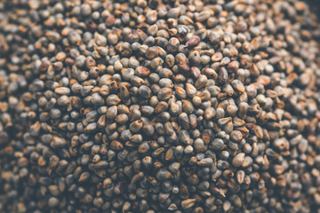 Pearl Millet or Bajra seeds also known as sorghum, in a bowl, selective focus