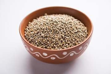 Pearl Millet or Bajra seeds also known as sorghum, in a bowl, selective focus