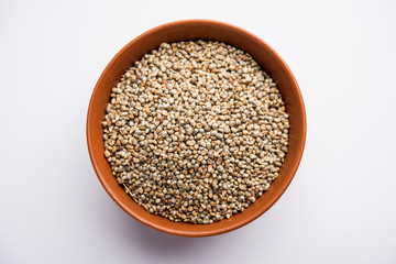 Pearl Millet or Bajra seeds also known as sorghum, in a bowl, selective focus