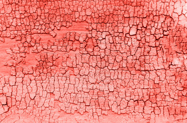 Orange old wooden texture background. Creat background with copy space. Color of the summer 2019