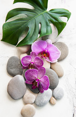 Spa stones with orchids