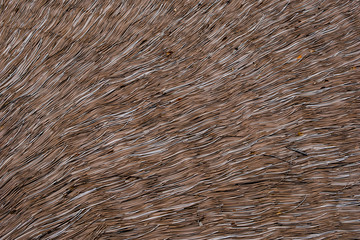 The roof is made by brown grass lines. texture background