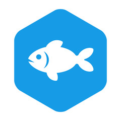 Icono plano carpa dorada en hexágono color azul