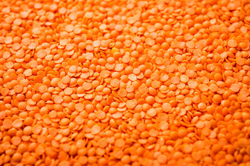 Red Lentil or Lal Masoor ki dal in a bowl, selective focus