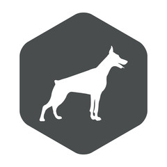 Icono plano silueta doberman en hexágono color gris