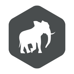 Icono plano silueta elefante en hexágono color gris