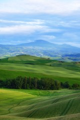 Fototapeta na wymiar Morning golden Tuscany hills. Italy