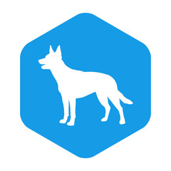 Icono plano silueta pastor alemán en hexágono color azul