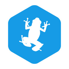Icono plano silueta rana en hexágono color azul