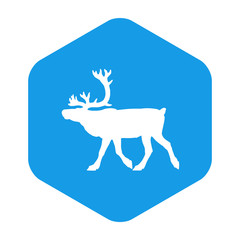 Icono plano silueta reno en hexágono color azul