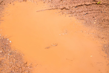 closeup mud texture background, after heavy rain.