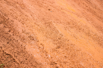 closeup mud texture background, after heavy rain.