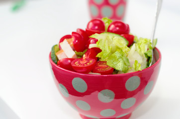 Fresh crunchy vegetables with tomato sliced radish cucumber and peppers as a salad
