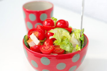 Fresh crunchy vegetables with tomato sliced radish cucumber and peppers as a salad